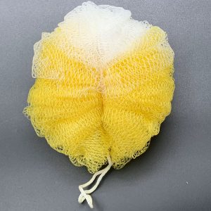 لیف توری کوچک