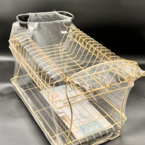 آبچکان طلایی